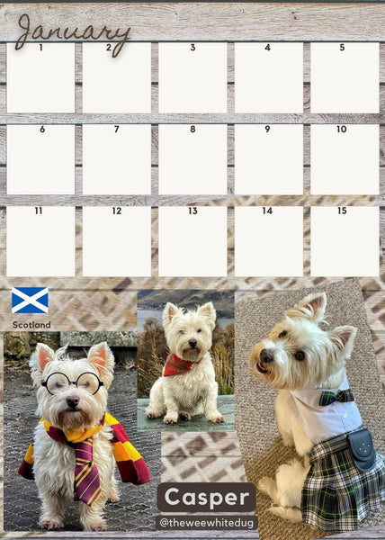 Calendar+ FREE dog collar