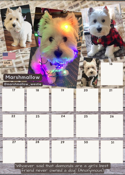 Calendar+ FREE dog collar